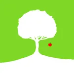 3DPhyS : Physics Simulator icon