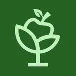 Food Bridge icon
