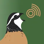 Covey Call icon