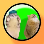 Cat and Numbers - Number Merge icon