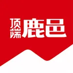 顶端鹿邑 icon