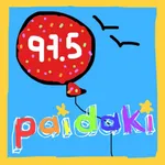 Paidaki 975 icon