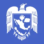 IAES icon