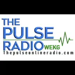 The Pulse Online Radio icon