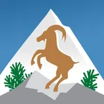 Gemeinde Mittelberg icon