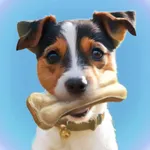 Laser Pointer － Games for Dogs icon