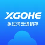 象过河云进销存 icon