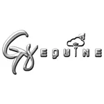 GS Equine icon