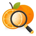 嘌呤查询-营养食谱饮食管理，别痛风 icon