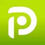 Point Pickleball icon