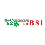 PO. BSI icon
