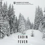 Cabin Fever icon
