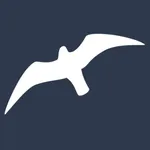 海鸥加速器-加速器ins icon