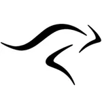 Kenguru PRO icon