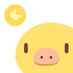 Piggy Assets icon