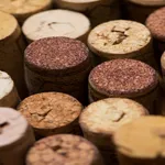 Vino Cellar - My wine cellar icon