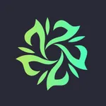 So中文版AI生成2.0 icon