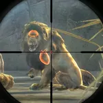 Wild Animal Hunting Games 2024 icon