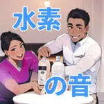 Hydrogen Voice H2 icon