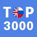 Most Common Russian Words icon