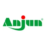 Anjun Express icon