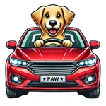 Patriot Auto Wash icon