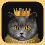 Дворянин icon