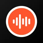 Voice Recorder - Transcribe AI icon