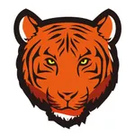 TigersecuHDViewer2 icon