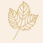Yoga Leaf icon