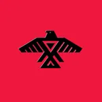 Thunderbird Scooters icon