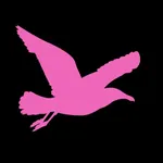 The Playpen -Dreams to Reality icon