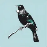 Musicianship Trainer icon