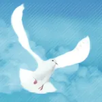 真耶穌教會中南區資訊網 icon