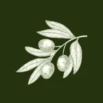 ShalomAZ Ministries icon