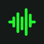 精准分贝仪-专业实时噪音检测大师 icon