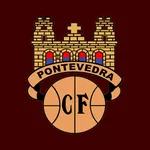 Pontevedra CF icon