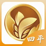 四平二丫网 icon