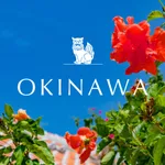 We love Okinawa icon