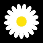Marguerite by Avril icon