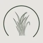 My Allergy Score icon