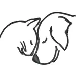 Kapaa Animal Clinic icon