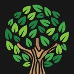 Spruce Up–AR 3D Models icon