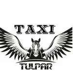 Tulpar Taxi client icon