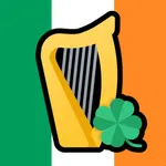 Irish Tax Calculator Pro icon