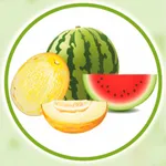 Бахча | Доставка icon