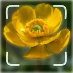 Flower ID: Flower Identifier icon