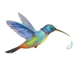 La légende du colibri icon