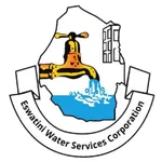 EWSC Blue Excellence icon