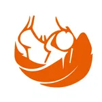 Safe Breastfeeding Calculator icon